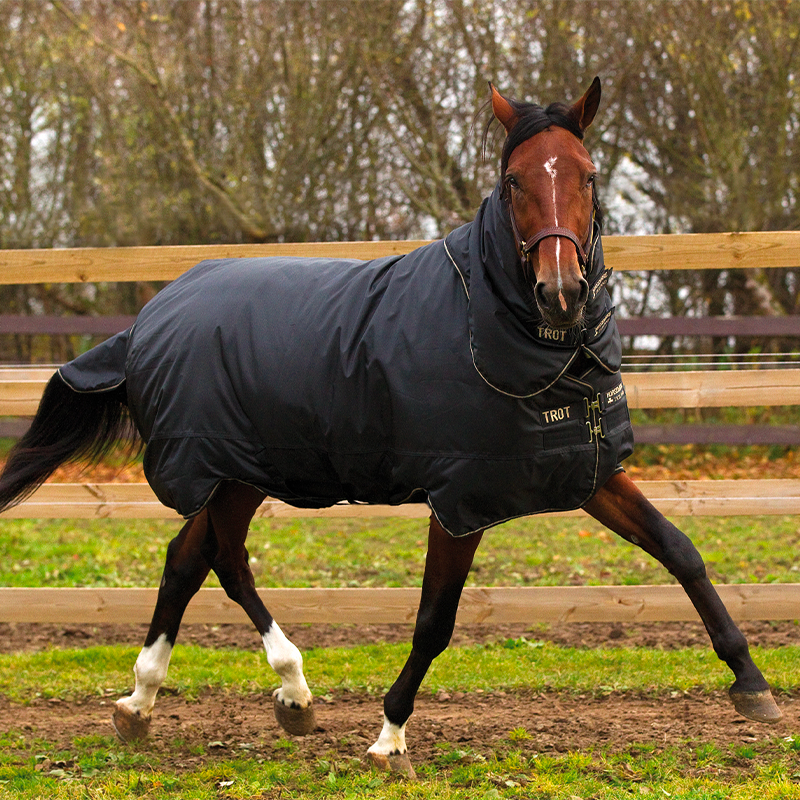 Horseware - Coperta da esterno Trot plus con copricalice nero/ nero/ marrone 350g | - Ohlala