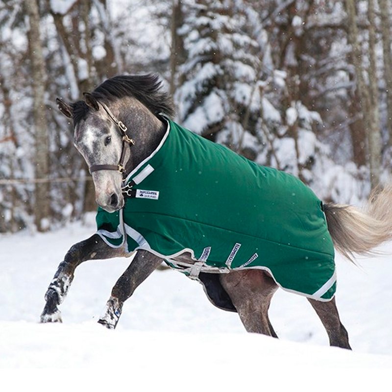 Horseware - Rambo Original Legs Arches turnout rug green/ silver 400g | - Ohlala