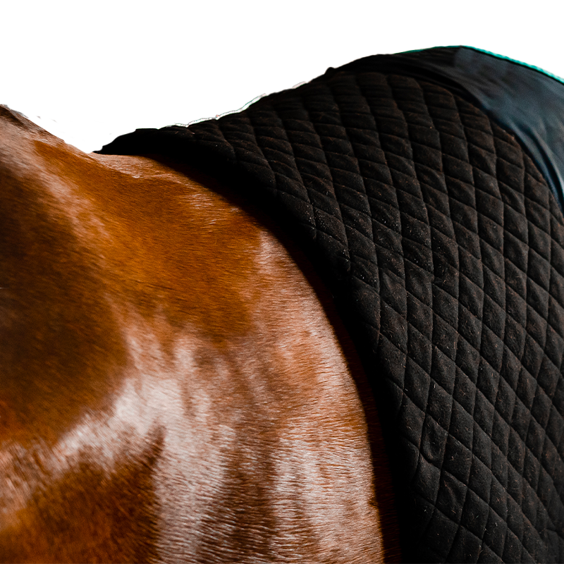 Horseware - Autumn Cooler Drying Rug black/ aqua/ silver 100g | - Ohlala