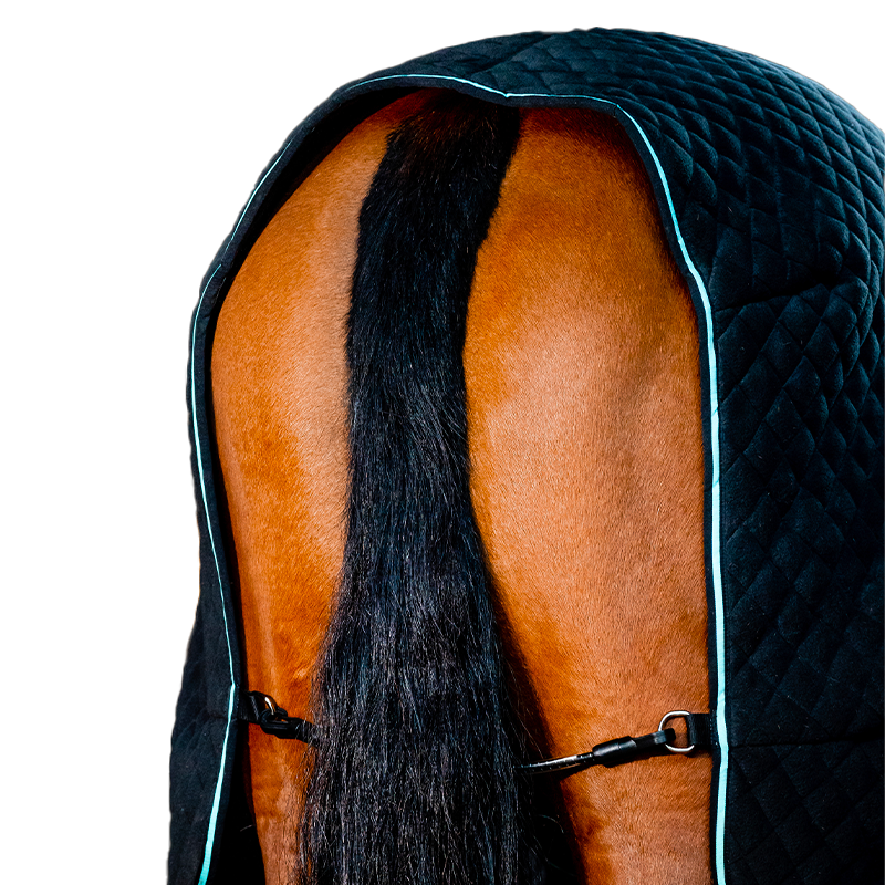Horseware - Autumn Cooler drying rug black/aqua/silver 100g | - Ohlala