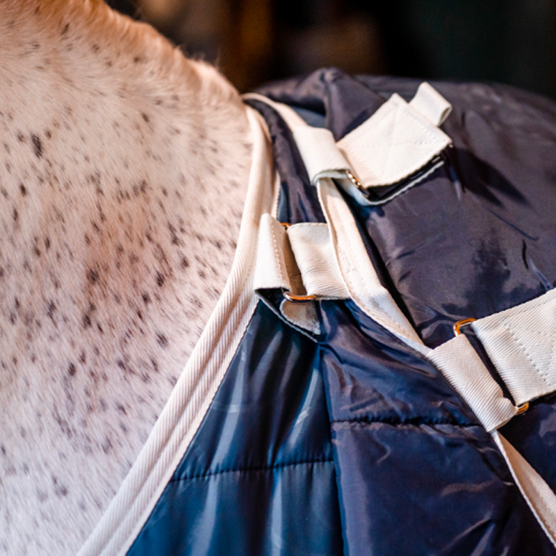 Horseware - Podkład Ecolin kaczkowy niebieski/szary 100g | - Ohlala