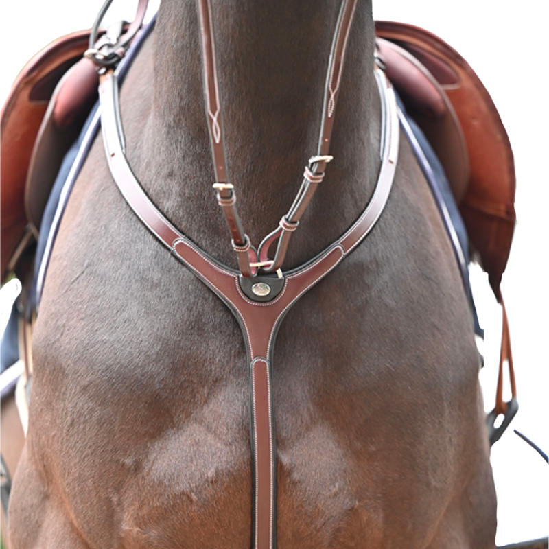 Jump'In - Jagdkragen und Martingalgabel Premium Clincher Havanna | - Ohlala