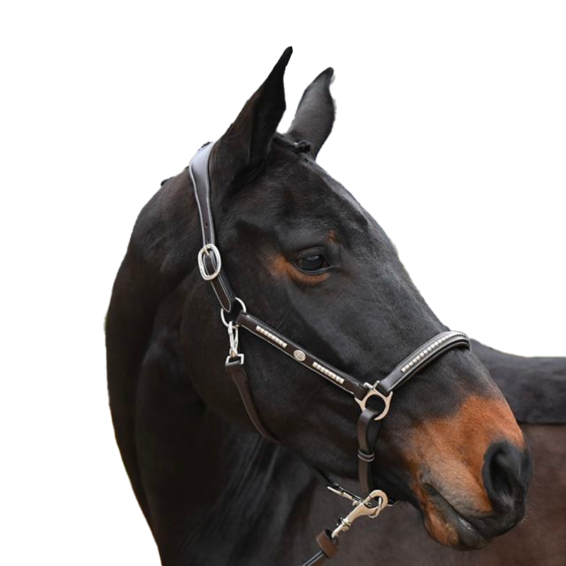 Jump'In - Cabezada de cuero One Premium Clincher avellana | - Ohlala