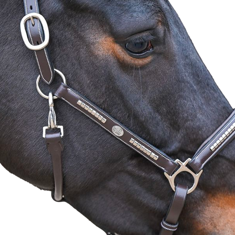 Jump'In - Cabezada de cuero One Premium Clincher avellana | - Ohlala