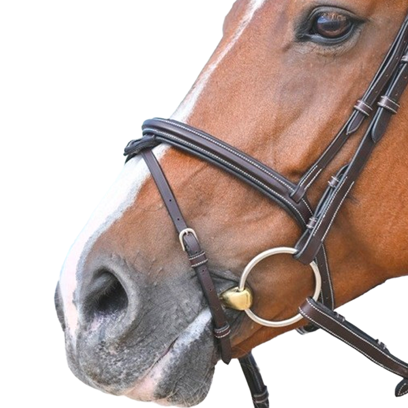 Jump'In - Noseband kombinowany Tuesday mahoń | - Ohlala