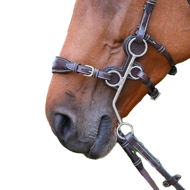 Jump'In - Jump'in hackamore guard in havana leather | - Ohlala