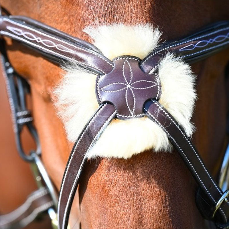Jump'In - Wednesday bridle crossed noseband havana | - Ohlala