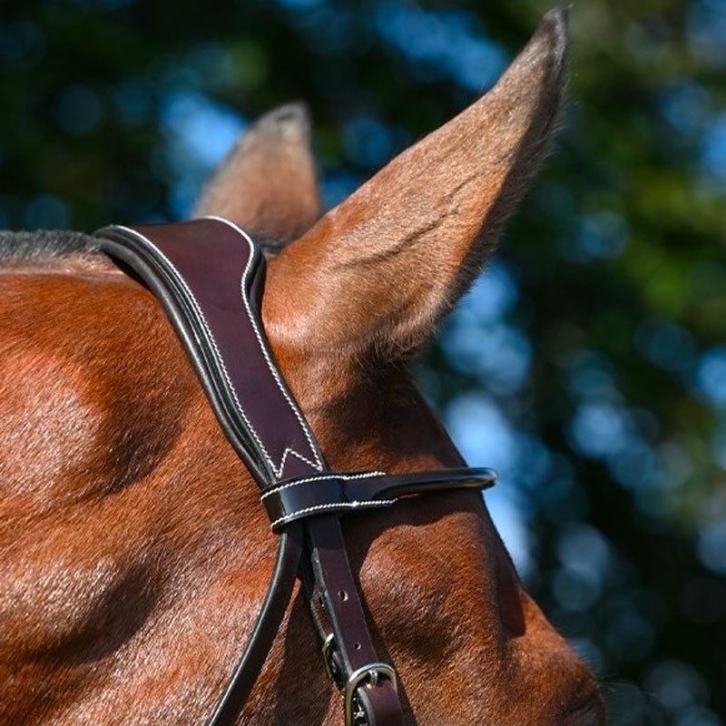 Jump'In - Wednesday bridle crossed noseband havana | - Ohlala