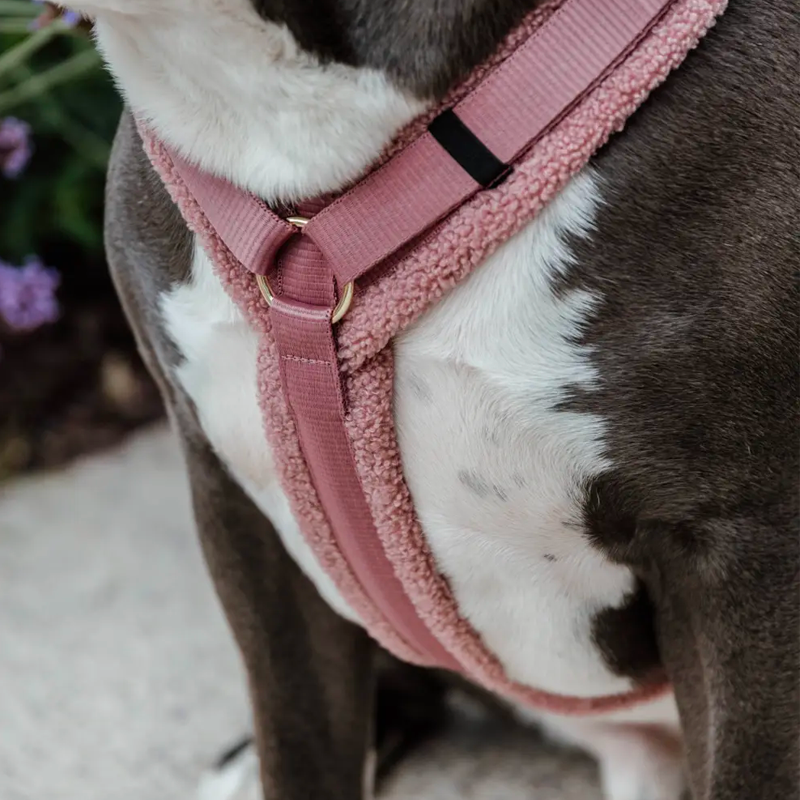 Kentucky Dogwear - Pettorina per cane Teddy Fleece rosa antico | - Ohlala