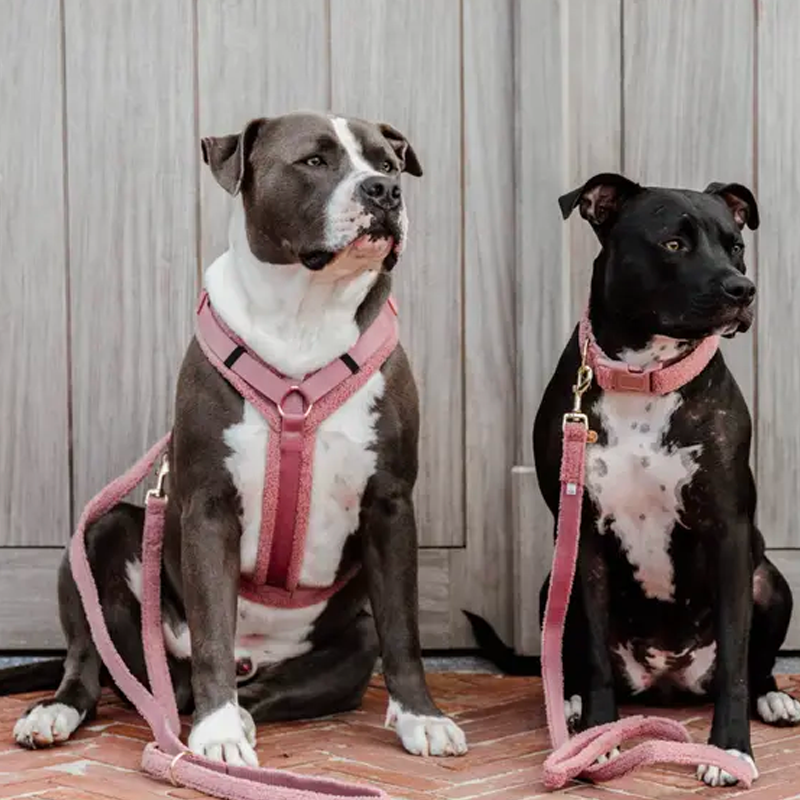 Kentucky Dogwear - Pettorina per cane Teddy Fleece rosa antico | - Ohlala