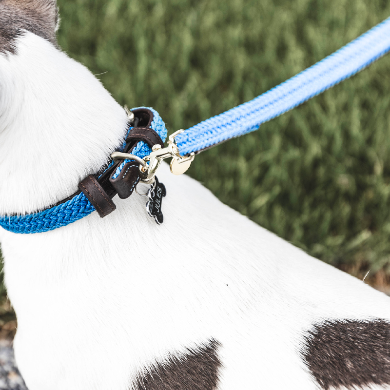 Kentucky Dogwear - Plaited Nylon Dog Lead 120 cm S Light Blue | - Ohlala