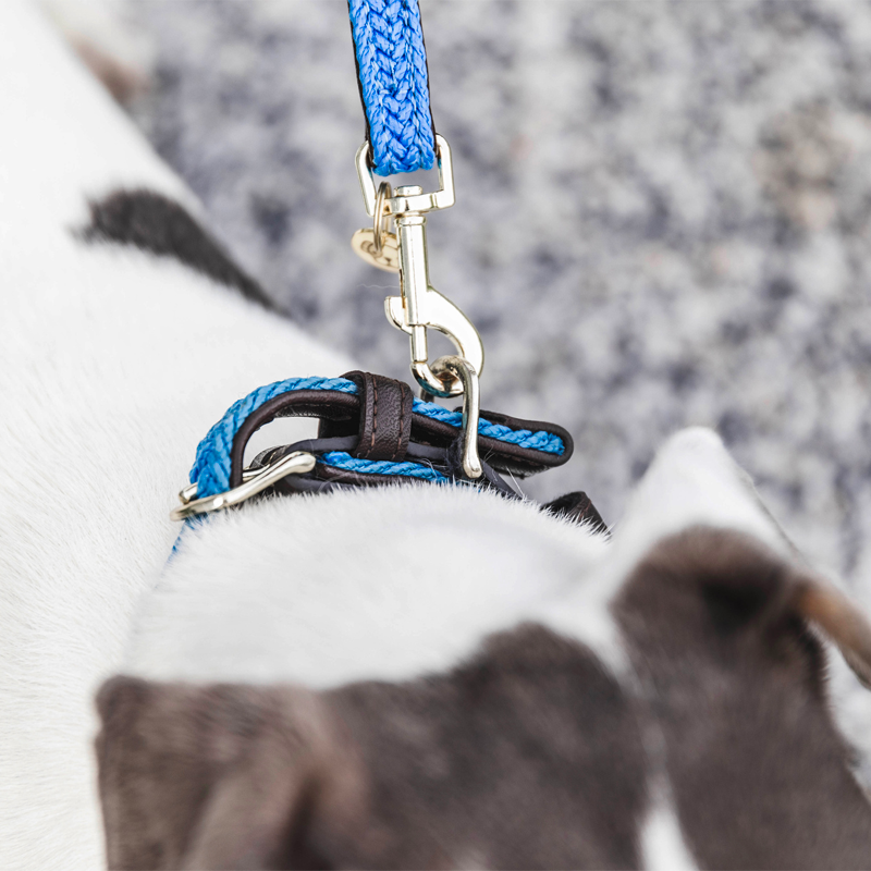 Kentucky Dogwear - Plaited Nylon Dog Lead 120 cm S Light Blue | - Ohlala