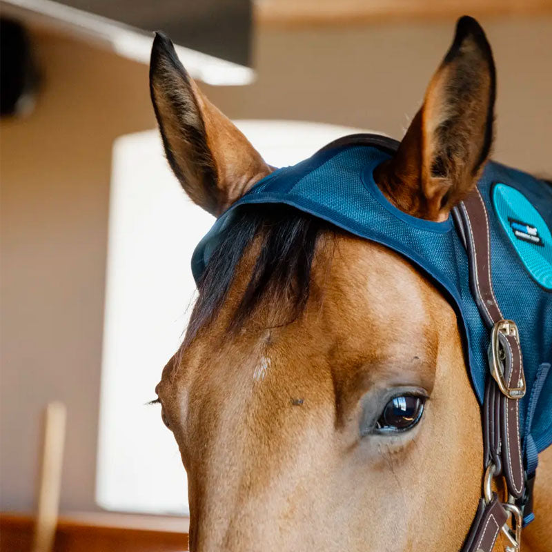 Kentucky Horsewear - Recuptex magnetic poll guard navy | - Ohlala