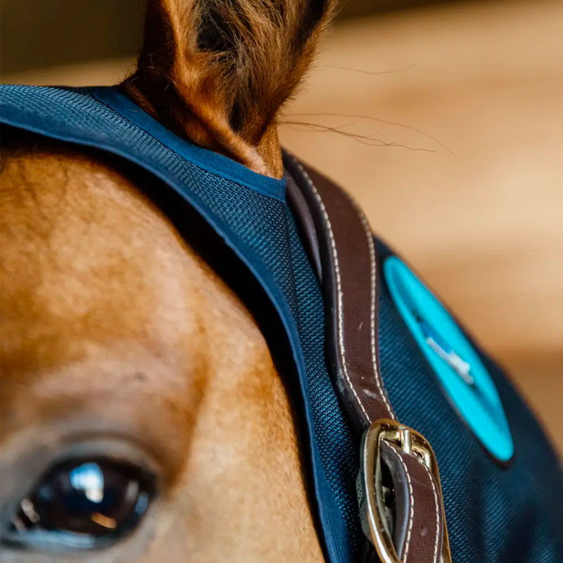 Kentucky Horsewear - Recuptex magnetic poll guard navy | - Ohlala