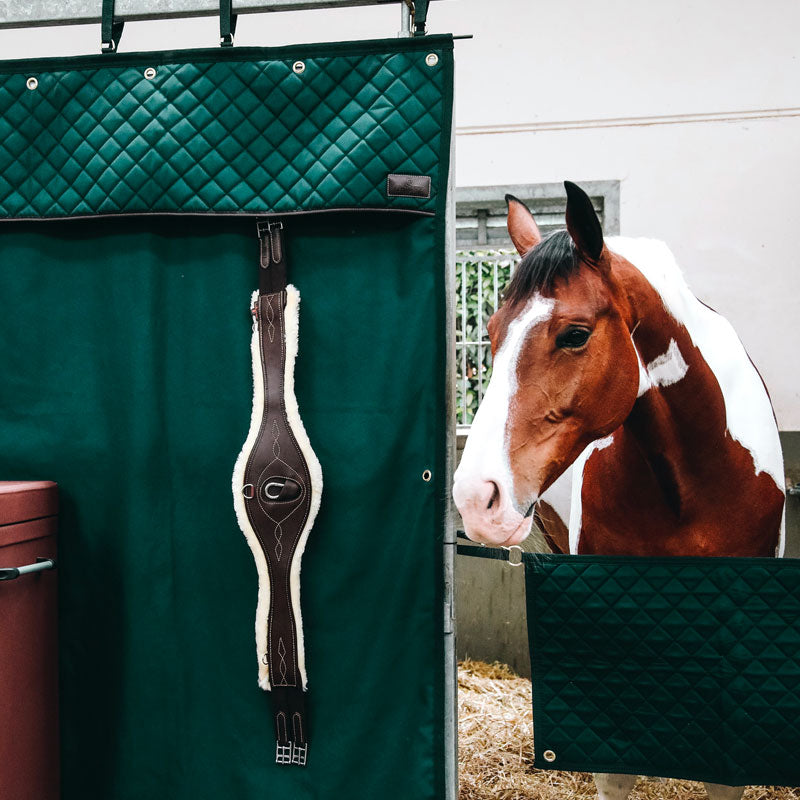 Kentucky Horsewear - Cortina de box impermeable verde | - Ohlala