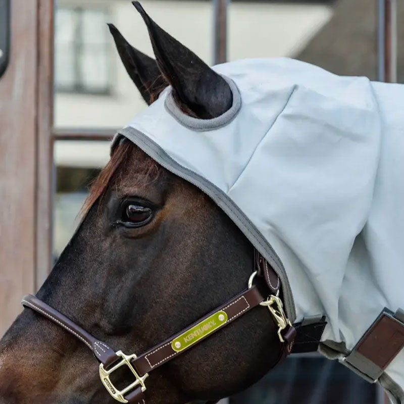 Kentucky Horsewear - Koc przeciwświądowy | - Ohlala