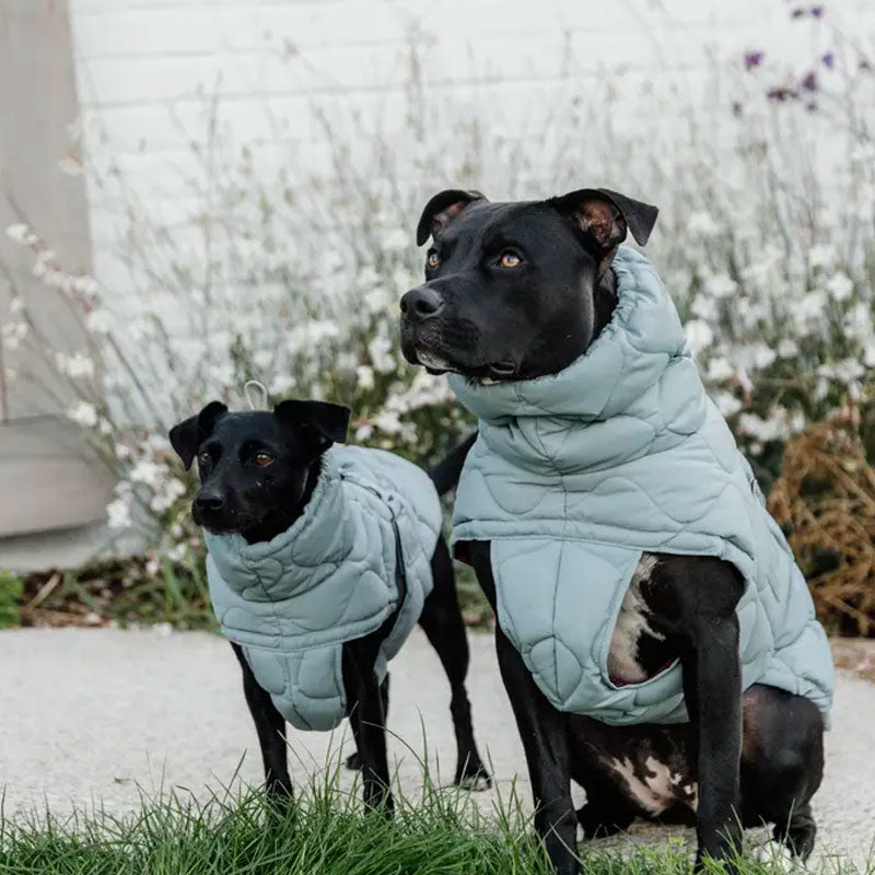 Kentucky Dogwear - Płaszcz dla psa Pina błękitny | - Ohlala