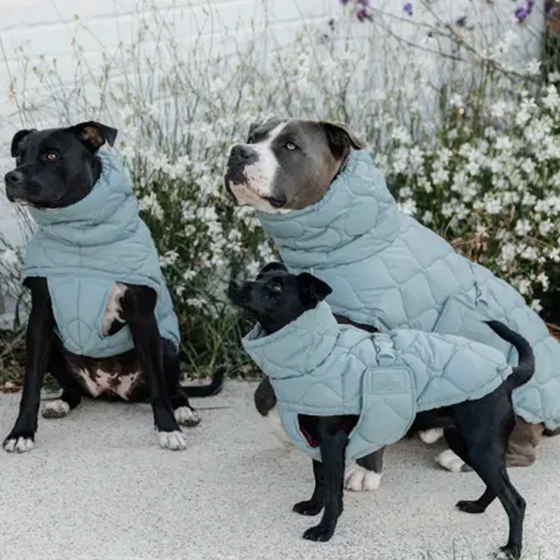 Kentucky Dogwear - Płaszcz dla psa Pina błękitny | - Ohlala