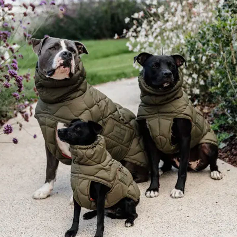 Kentucky Dogwear - Hondenjas Pina Khaki | - Ohlala