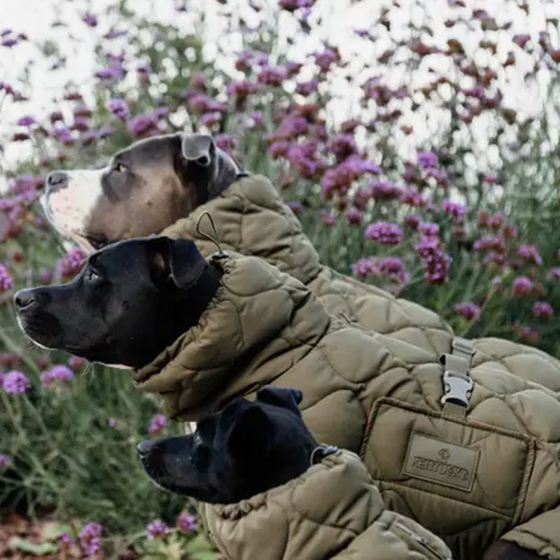 Kentucky Dogwear - Hondenjas Pina Khaki | - Ohlala