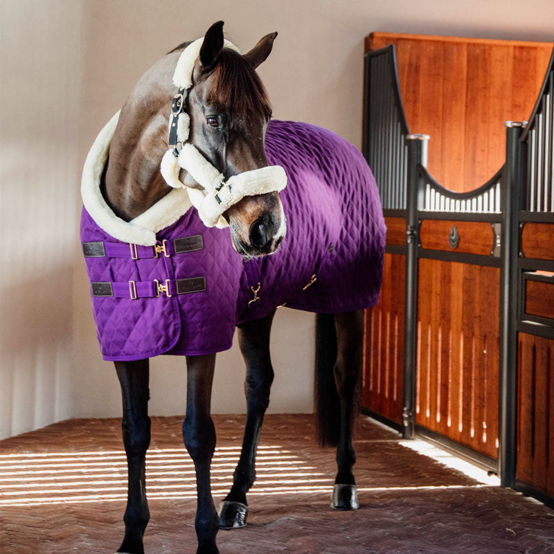 Kentucky Horsewear - Samtpräsentationsdecke violett 160g | - Ohlala