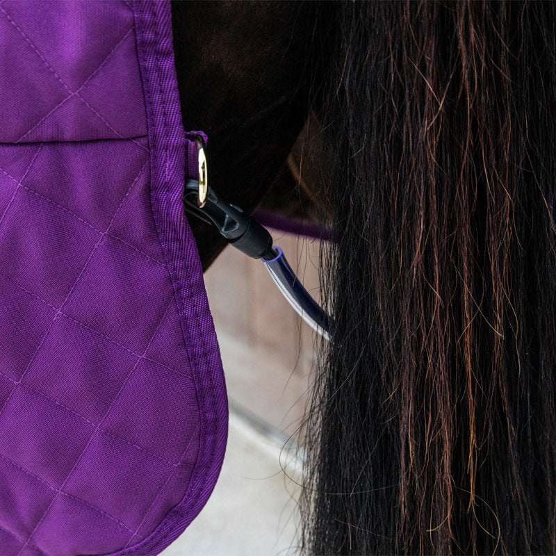 Kentucky Horsewear - ベルベット プレゼンテーションラグ バイオレット 160g | - Ohlala