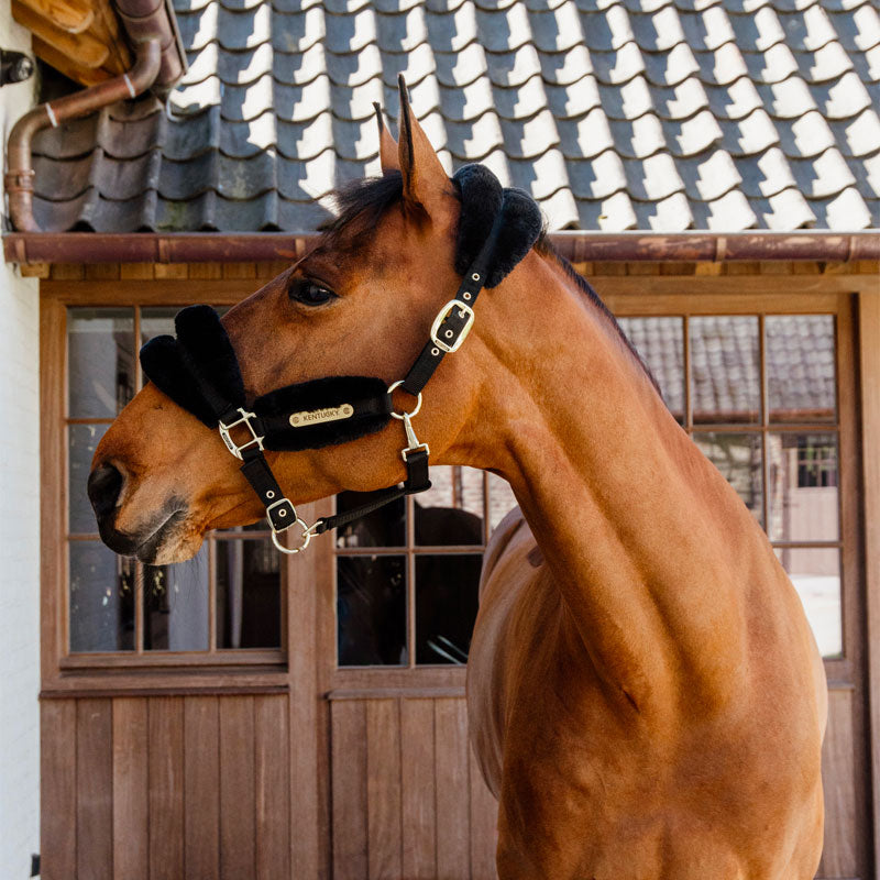 Kentucky Horsewear - Nylon-Halfter Lammfell soft schwarz | - Ohlala
