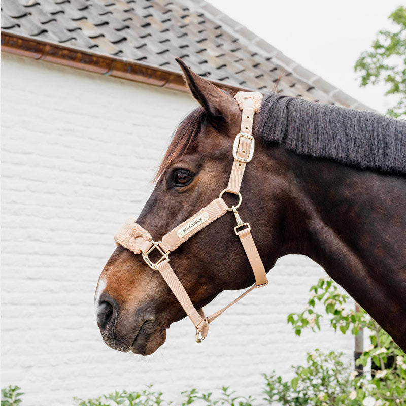 Kentucky Horsewear - Teddy fleece halter beige | - Ohlala