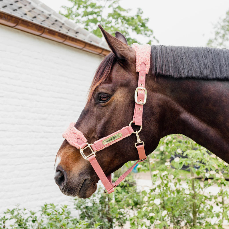 Kentucky Horsewear - Uwiąz polarowy Teddy w kolorze starego różu | - Ohlala