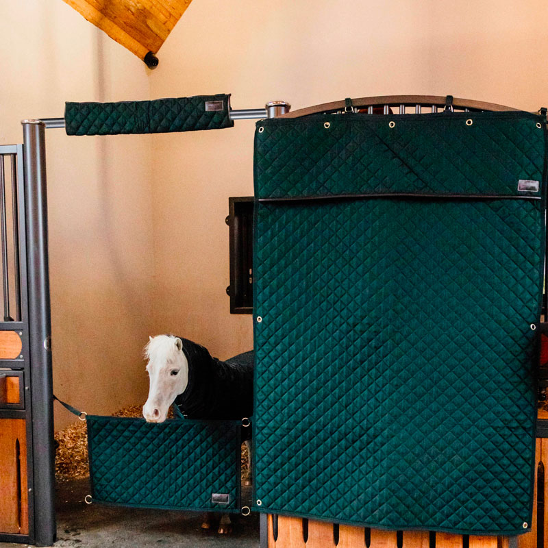 Kentucky Horsewear - Protección de cabeza verde oscuro | - Ohlala