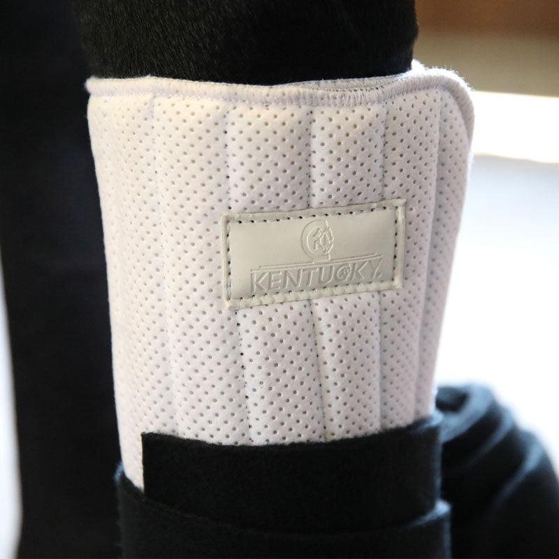 Kentucky Horsewear - Trainingsonderleggers Pad Absorb zwart/wit | - Ohlala