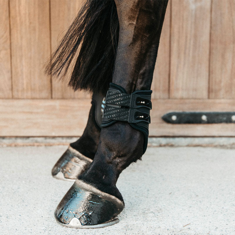 Kentucky Horsewear - Elastischer Fesselschutz hoch schwarz | - Ohlala