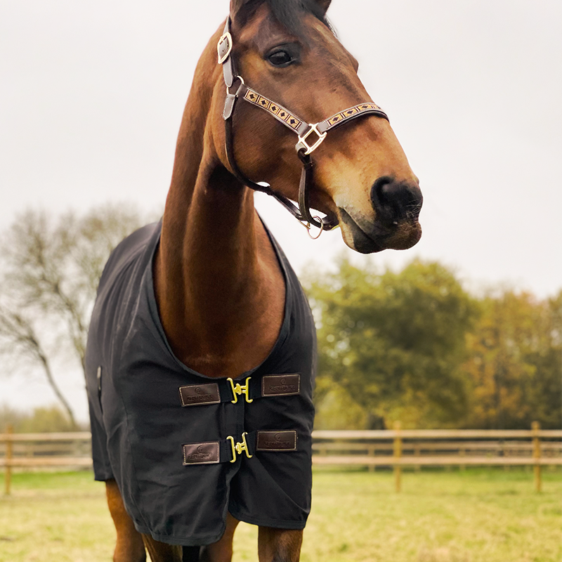 Kentucky Horsewear - Bawełniana koszula czarna | - Ohlala