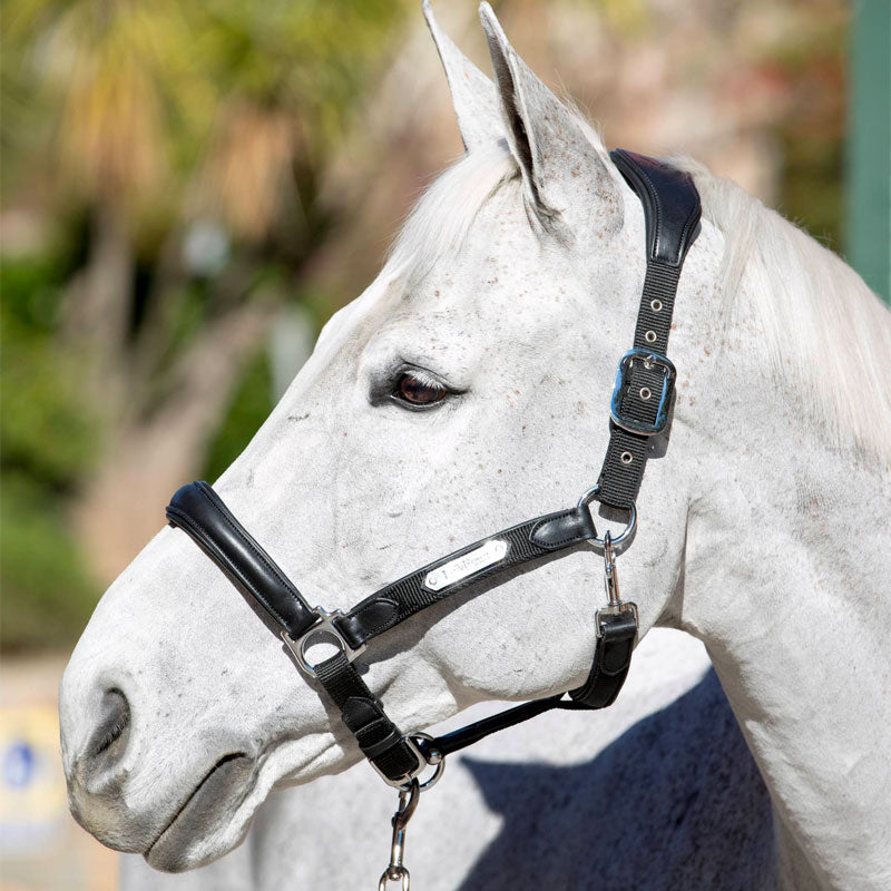 Lemieux - Capella Black Headcollar | - Ohlala