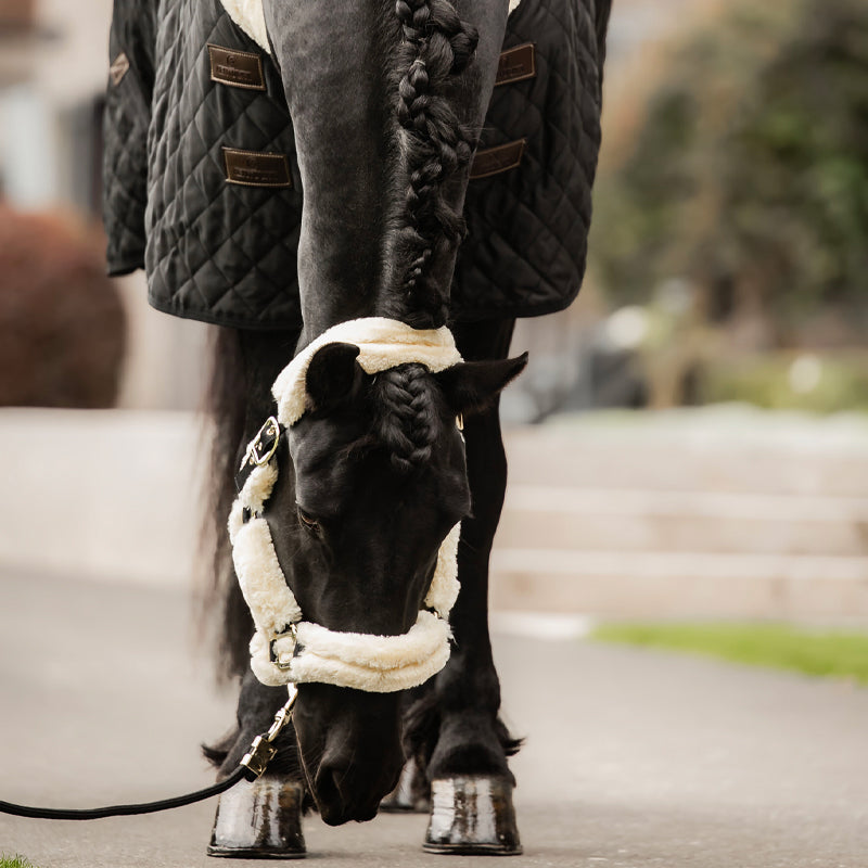 Kentucky Horsewear - ホワイトシープスキン トランスポートハルター | - Ohlala