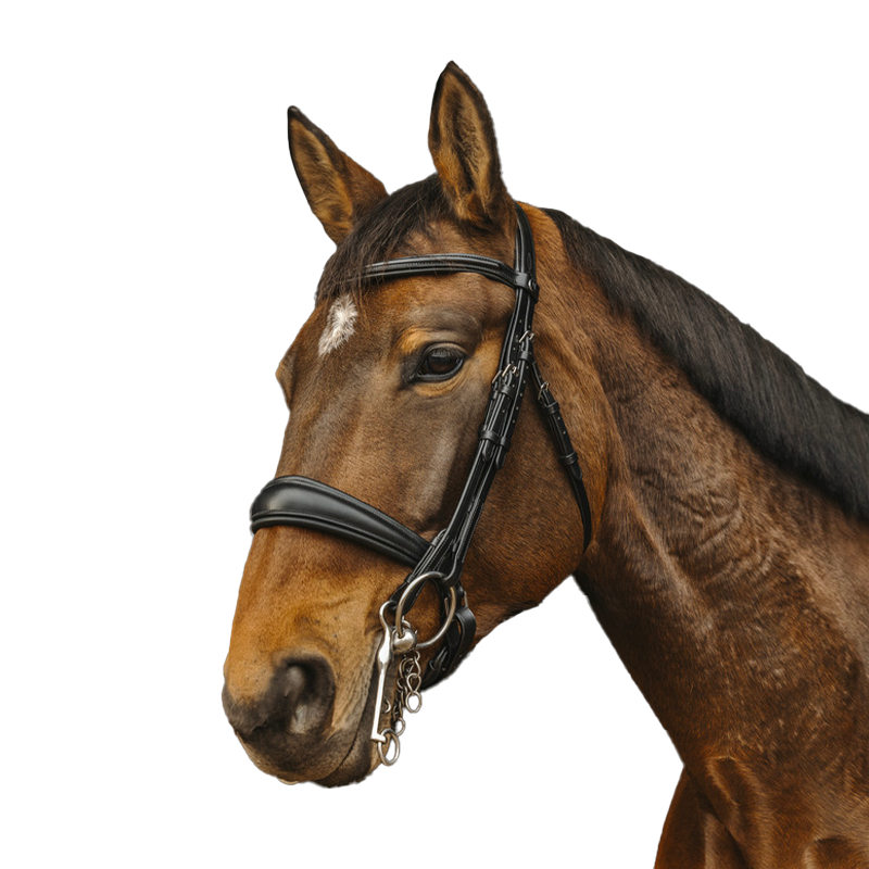 Norton - Basal black bridle | - Ohlala