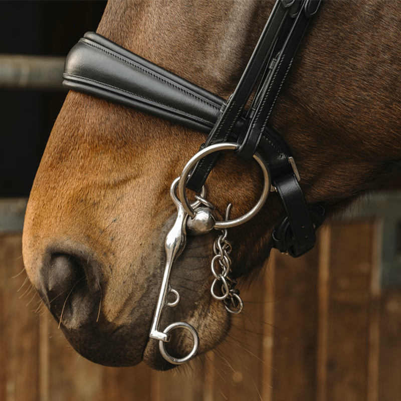 Norton - Basal bridle black | - Ohlala