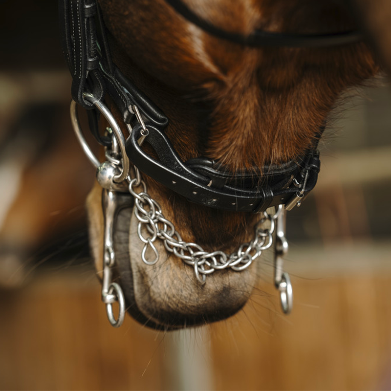 Norton - Basal Black Bridle | - Ohlala