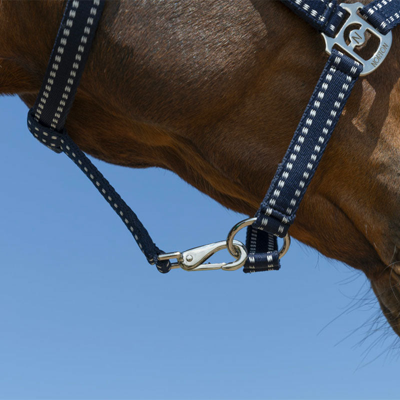 Norton - Grooming Halter navy | - Ohlala