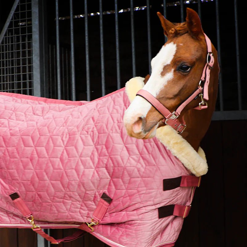Kentucky Horsewear - Samt-Präsentationsdecke altrosa für Minis 160g | - Ohlala
