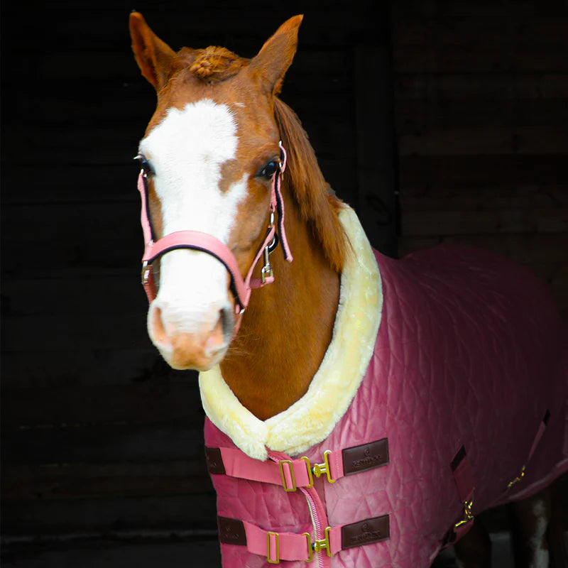 Kentucky Horsewear - Samt-Präsentationsdecke altrosa für Minis 160g | - Ohlala