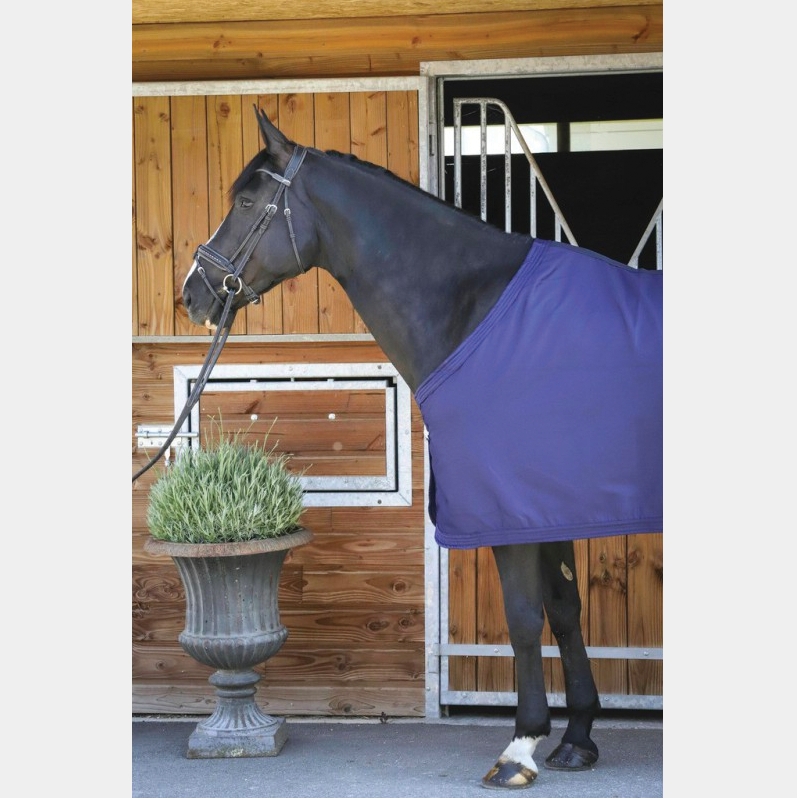 Paddock Sport - Koszulka prezentacyjna granatowa 0g | - Ohlala