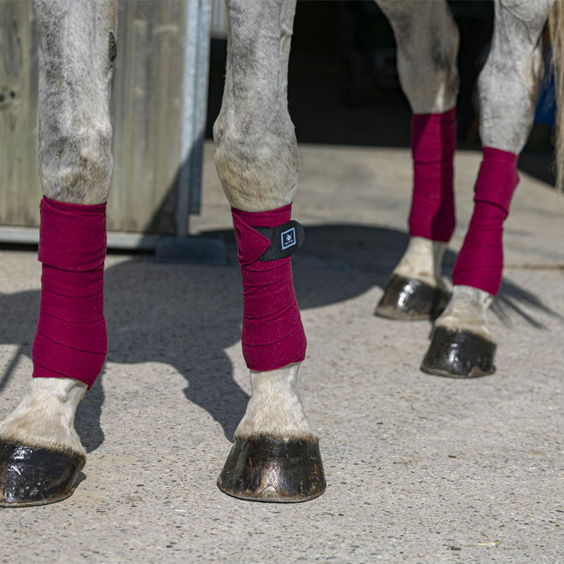 Riding World - Eco Polobandagen Bordeaux | - Ohlala