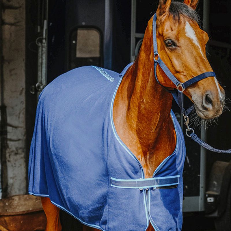 Riding World - Komplettset Halfter, Gamaschen und marine Decke | - Ohlala