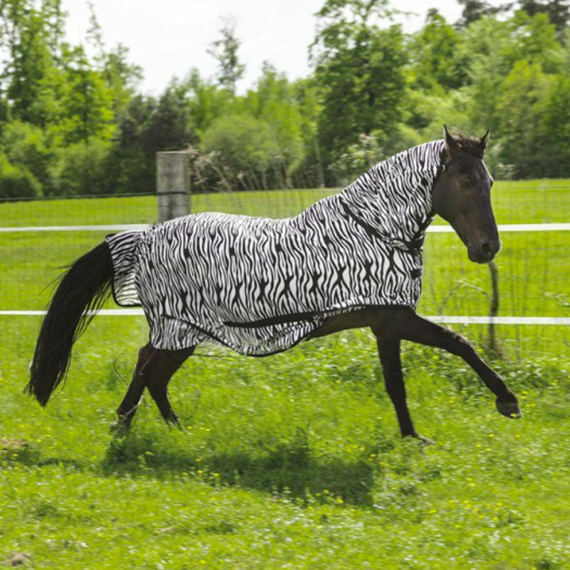 Riding World - Combo netshirt zebra | - Ohlala