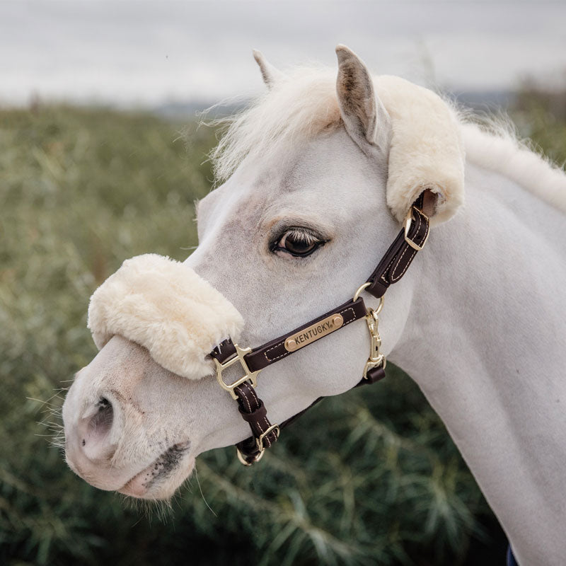 Kentucky Horsewear - Skórzany uwiąz z barankiem dla kucyków miniaturowych | - Ohlala