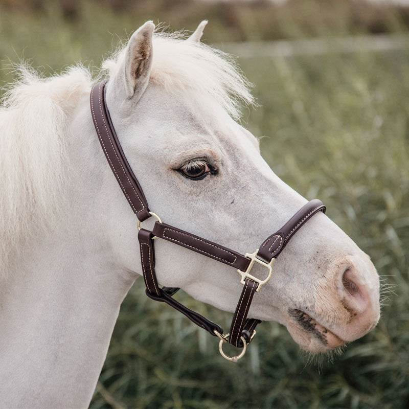 Kentucky Horsewear - Skórzany szełom z owczej skóry dla kucyków | - Ohlala