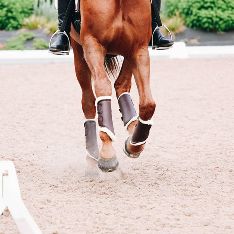 Kentucky Horsewear - Polainas de campo Turn Out cuero delanteras marrón | - Ohlala