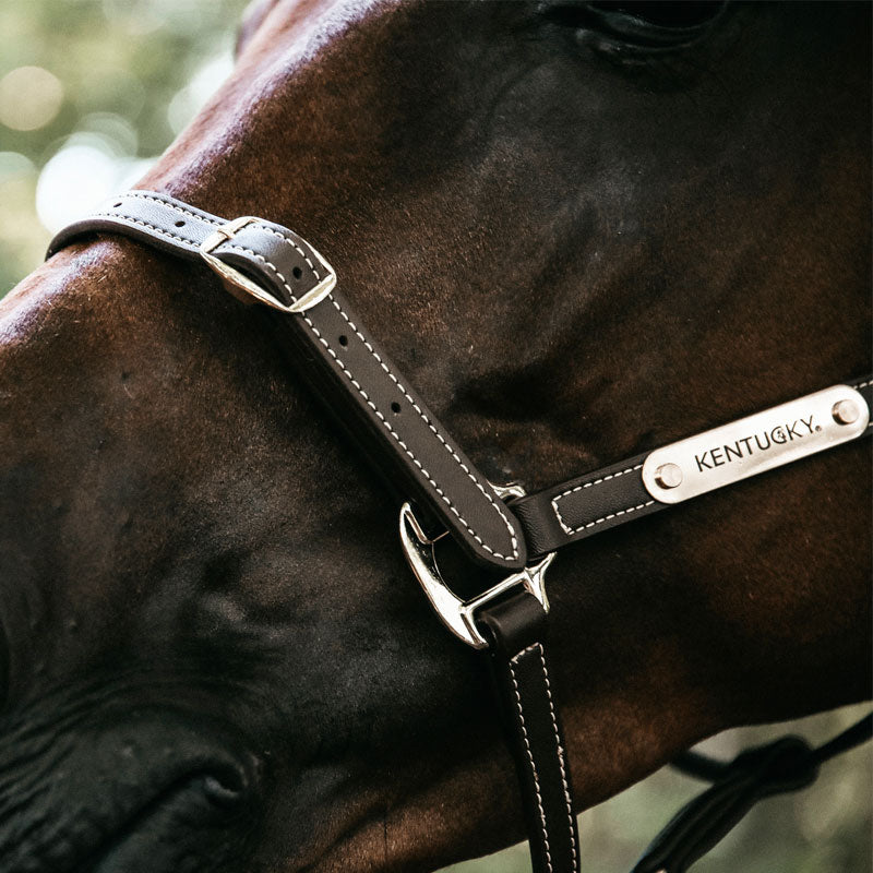 Kentucky Horsewear - フレキシブル合成皮革ハルター | - Ohlala