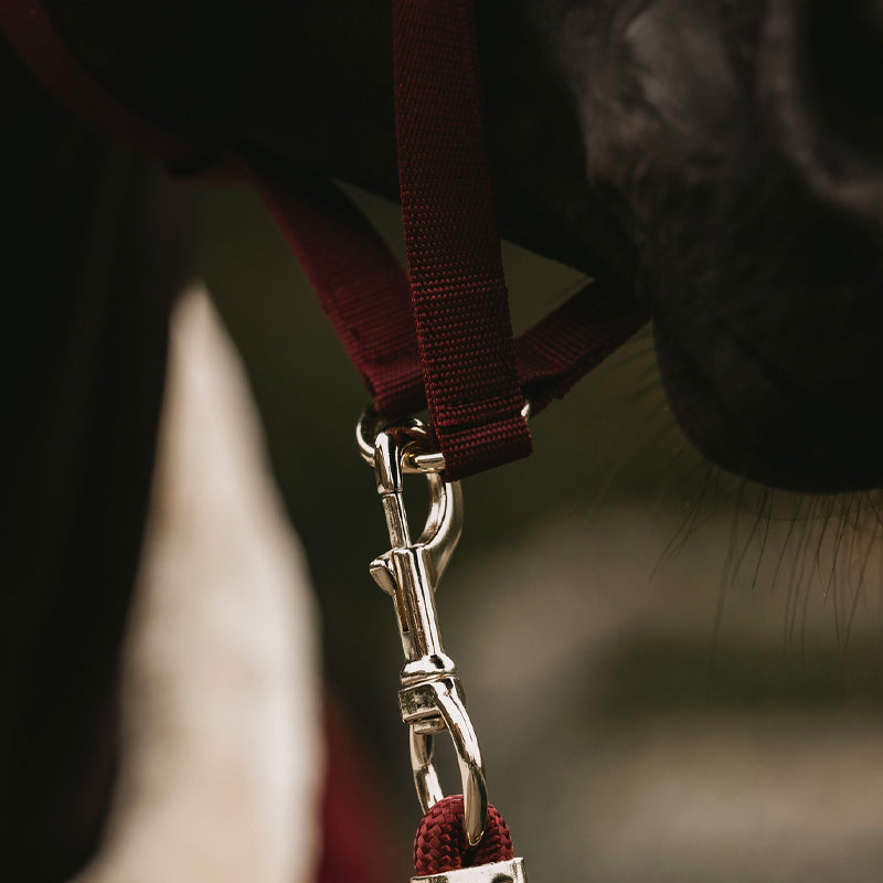 Kentucky Horsewear - Halster velvet bordeaux | - Ohlala